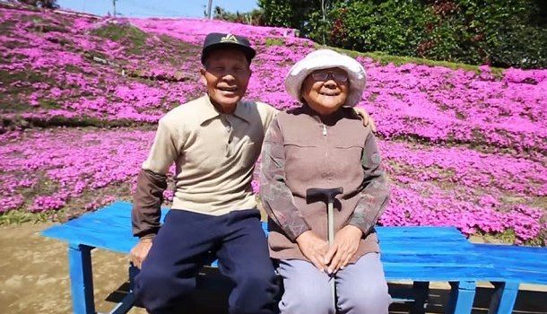 Un japonais de 83 ans plante des milliers de fleurs pour sa femme aveugle ! Un japonais de 83 ans plante des milliers de fleurs pour sa femme aveugle !