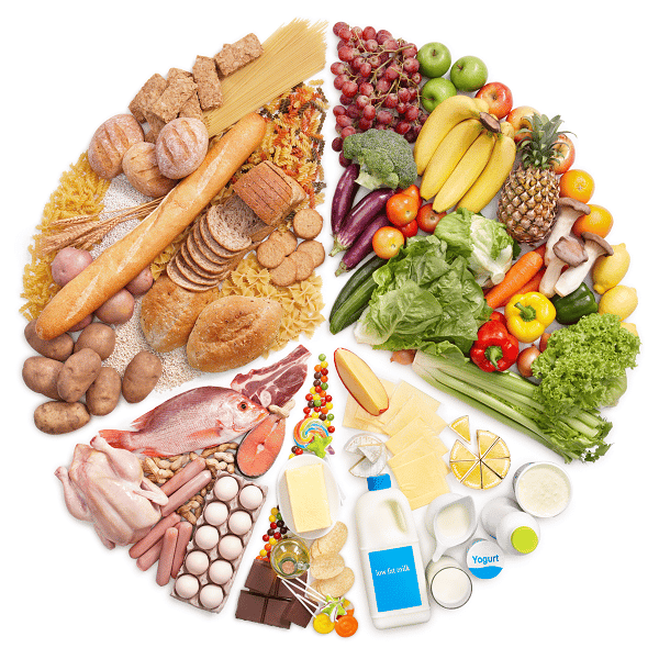 Alimentation Nutrition SOM, DYNSEO