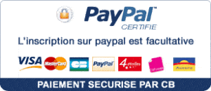 Logo Paypal 2, DYNSEO