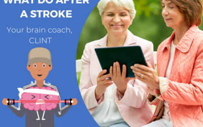 What to do after a stroke?