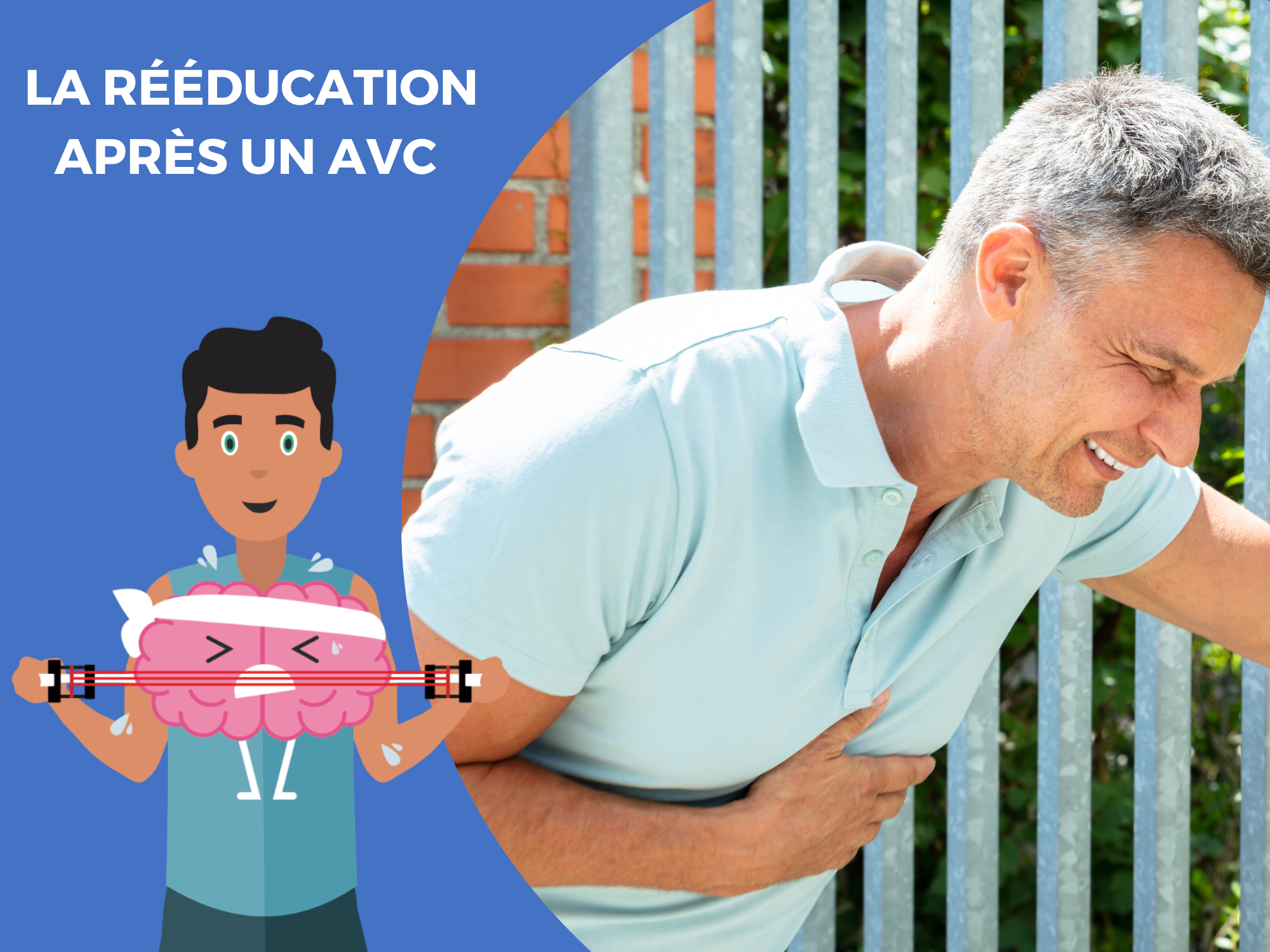 vous conseille... Le sommeil contre l'AVC DYNSEO — free download
