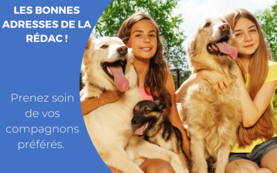 Le Top 7 de la rédac des adresses pour nos compagnons préférés