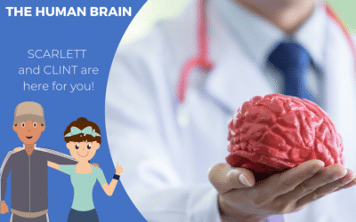 10 myths about the human brain you didn’t know