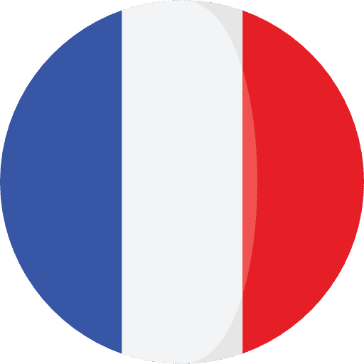 France 1, DYNSEO