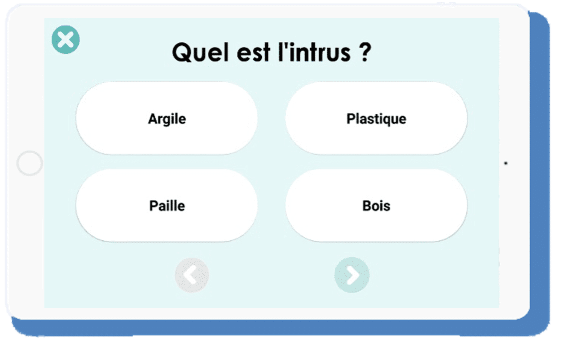 Chasse à l'intru_Dysorthographie__Jeux enfants dyslexiques_Classification sémantique_Activité de groupe, Compréhension des mots_Jeux éducatifs_Apprentissage_ Jeux éducatifs sur tablettes