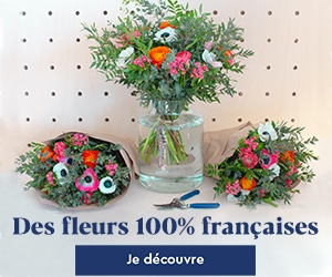 monsiuer-marguerite-plante-odeur-jardins-fleur-faim-an-idee-cadeaux-cadeau-top-conseils-noel-extraordinaire-sport-enfants-adulte-enfant-super-coco