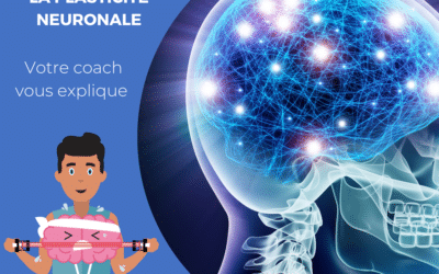 Plasticité neuronale : qu’est-ce que et comment l’améliorer ?