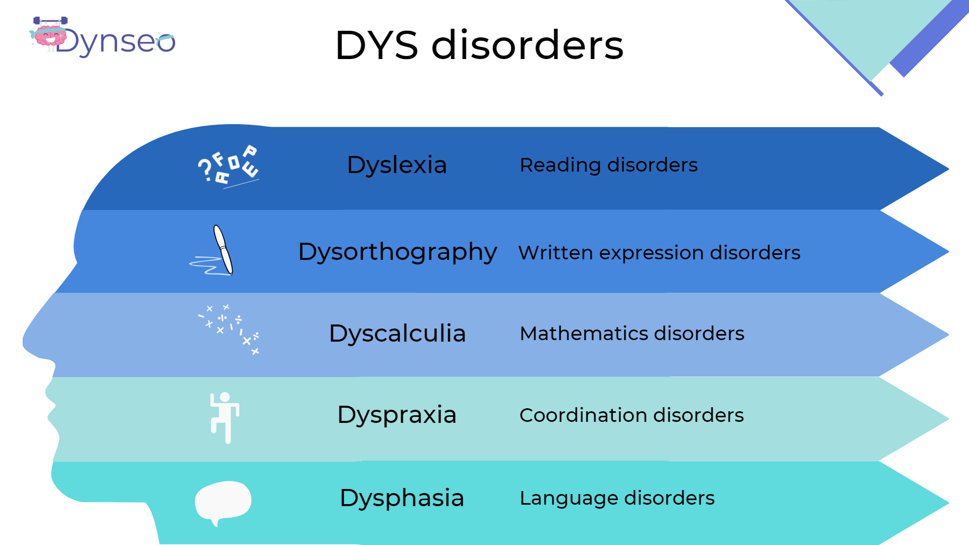 dys disorders schema summary children adults