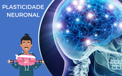 Plasticidade neuronal: o que é e como pode ser melhorada?