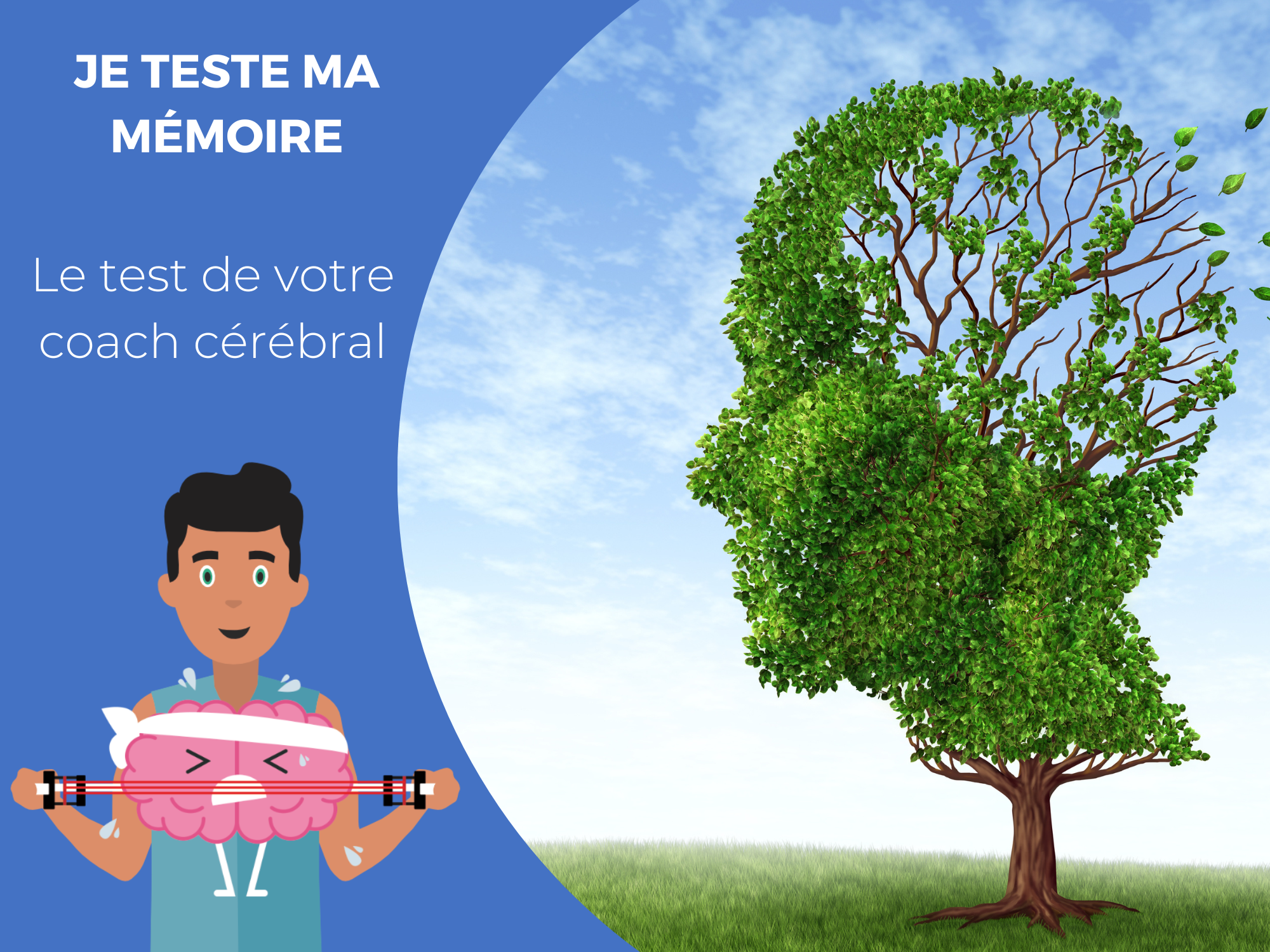 je teste ma mémoire