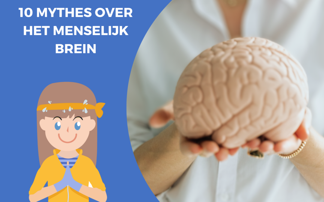 10 mythes over het menselijk brein ontkracht - DYNSEO