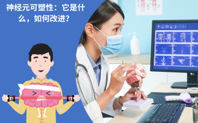 神经元可塑性：它是什么，如何改进？- 30