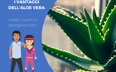 L’aloe vera, il vostro migliore alleato per il benessere