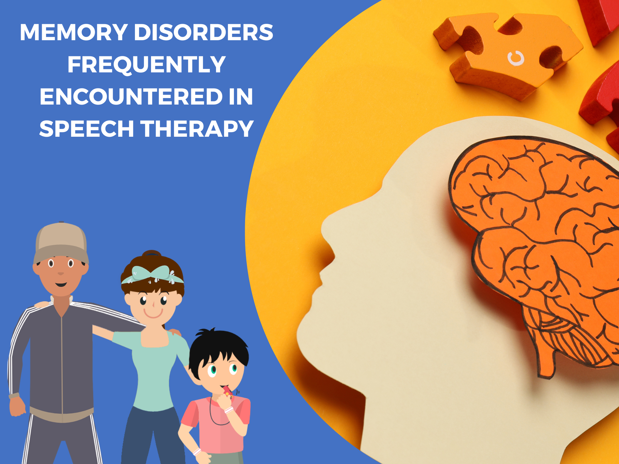 Memory disorders frequently encountered in speech therapy: a guide to ...