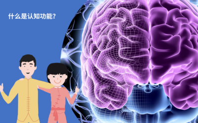 什么是认知功能？