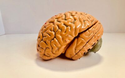 Avancées dans le traitement des troubles cognitifs post-cancer