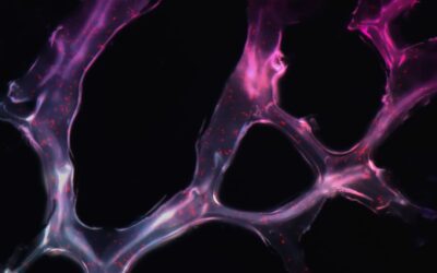L’importance de la rééducation cognitive précoce après le diagnostic de cancer