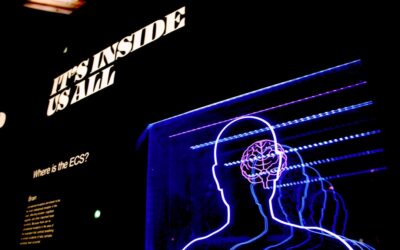 Ressources et communautés en ligne pour la rééducation cognitive post-cancer