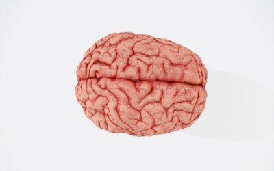 Stratégies pour atténuer les effets cognitifs des traitements médicamenteux