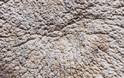 Routine visive: uno strumento chiave per studenti con autismo