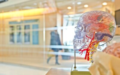 How Brain Training Apps Can Complement Traditional Therapies for Down Syndrome