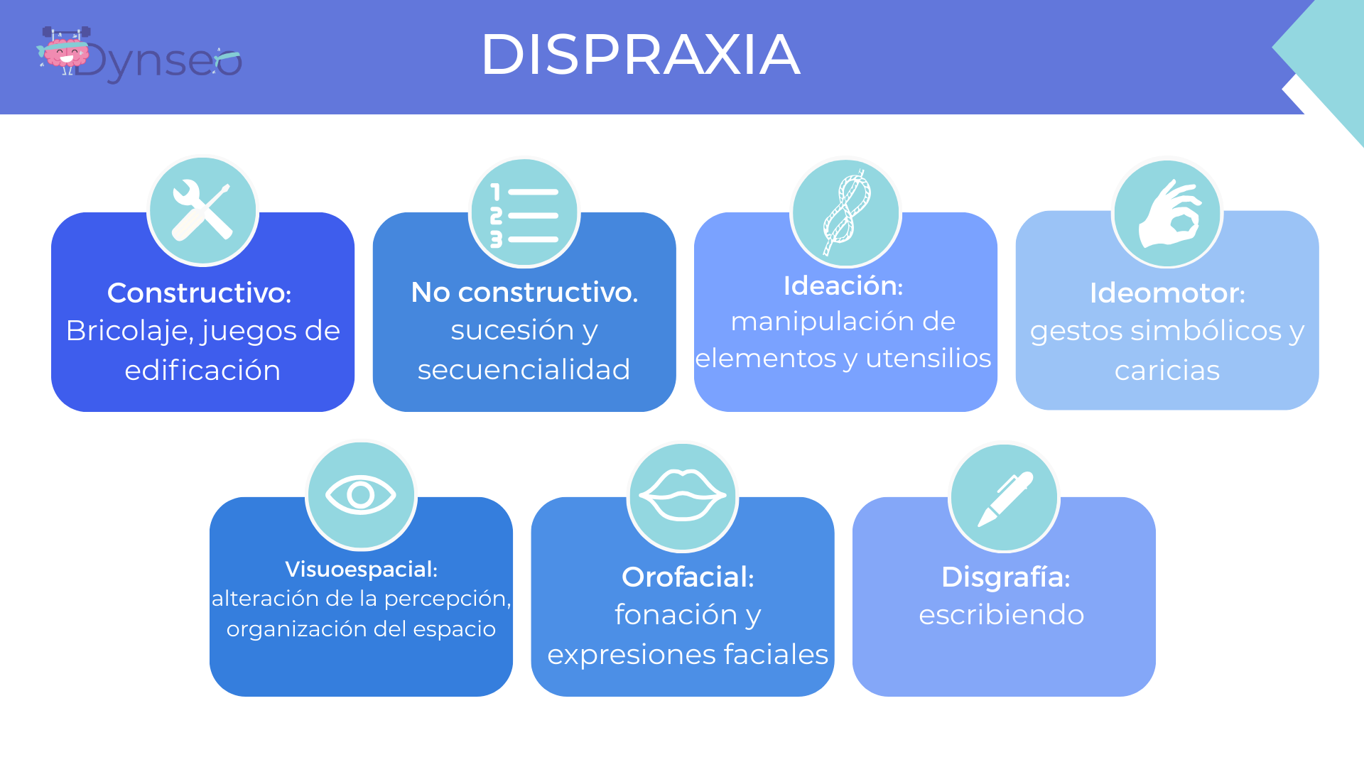 (Espagnol) (13)