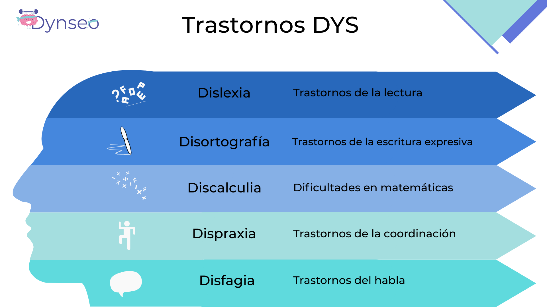(Espagnol) (3)