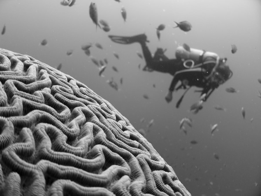 cognitive impairment