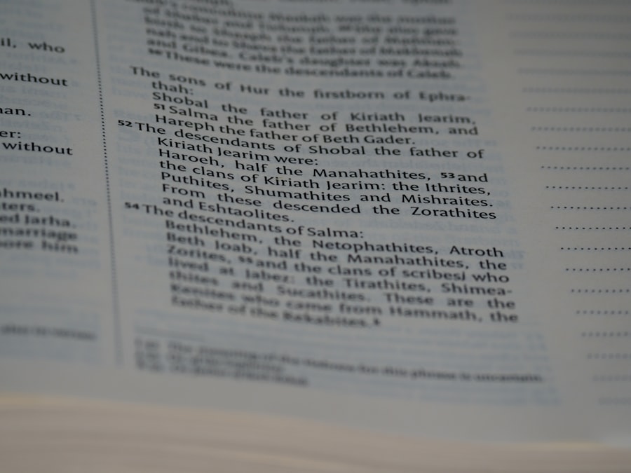 VAE (Validation des acquis de lexpérience)