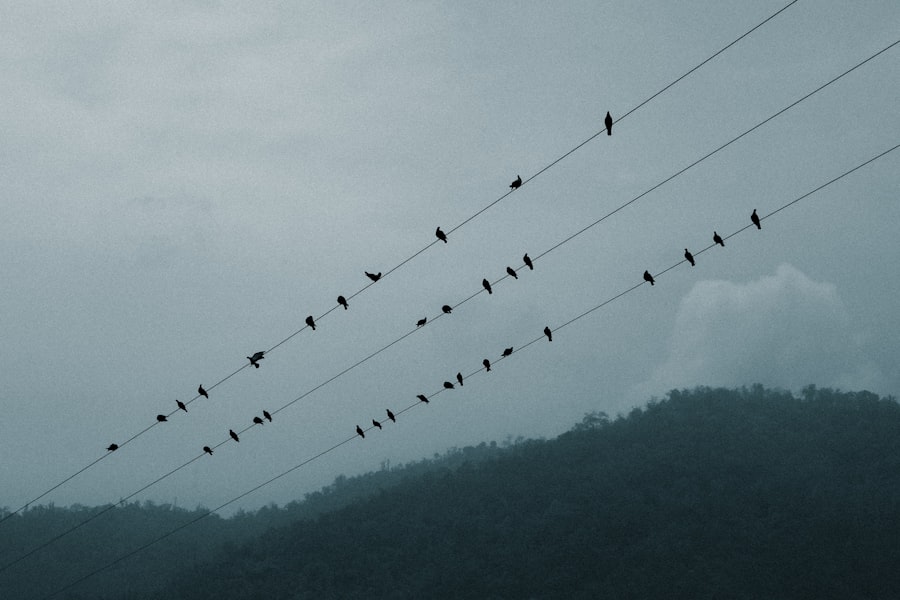 accompagnement individualisé