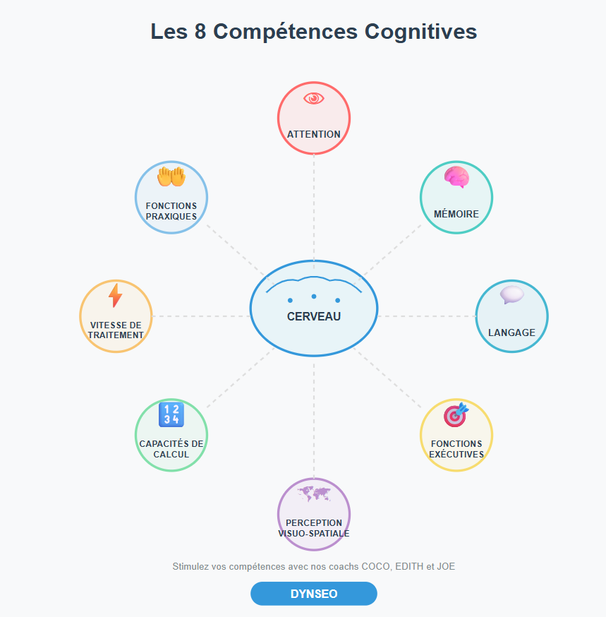 fonctionc cognitives dynseo article competence attention