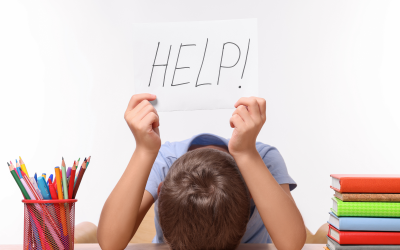 The Role of Audio Books in the Learning of Dyslexic Children.