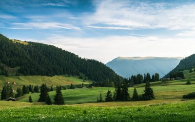 Impulsiver Schüler: Lernen, vor dem Handeln nachzudenken