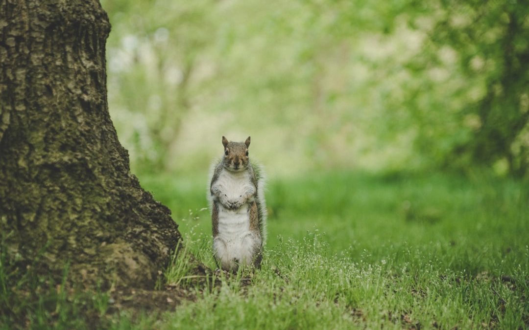 Des seniors engagés dans des activités stimulantes pour préserver leur mémoire de manière amusante et bienveillante.
