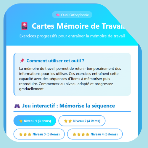 Cartes mémoire de travail