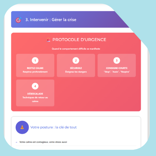 Plan de crisecomportements difficiles trisomie