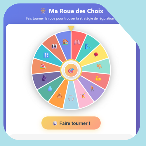 roue des choix