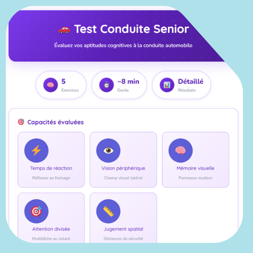 高级在线驾驶考试 高级在线驾驶考试