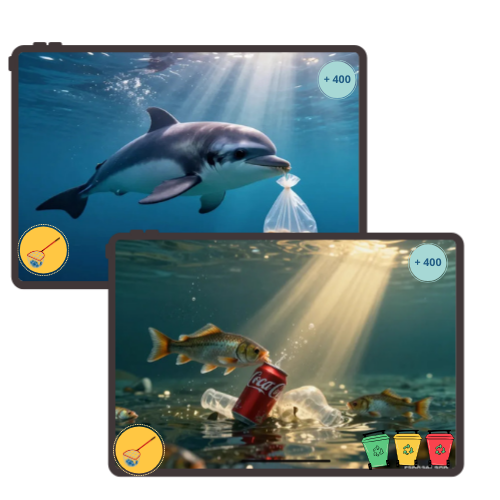 Interface - Découverte des espèces