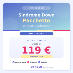 DYNSEO Pack down IT cover