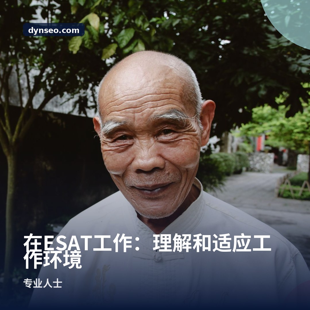 在ESAT工作:理解和适应工作环境